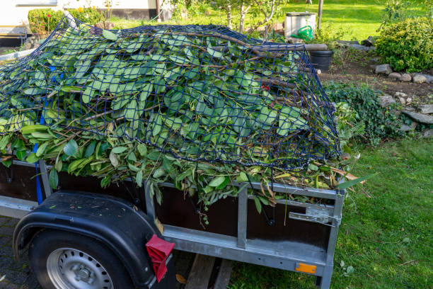 Best Yard Waste Removal  in Pittston, PA